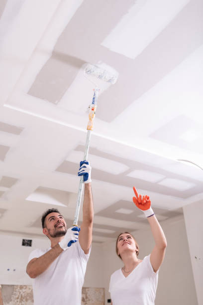 Trusted Meadow Glade, WA Mold Removal Experts