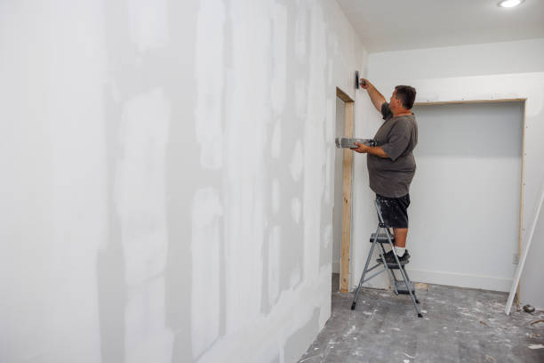 Best Environmental Consulting for Mold Prevention  in Meadow Glade, WA