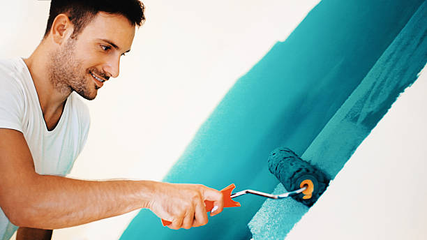 Best Attic Mold Removal  in Meadow Glade, WA