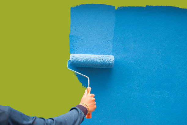 Best Black Mold Removal  in Meadow Glade, WA